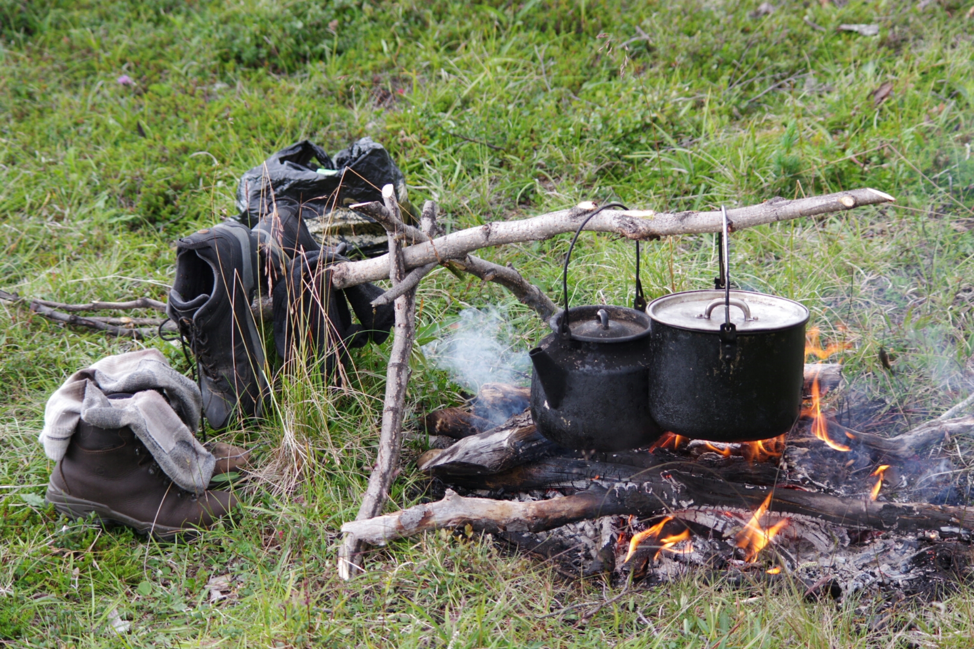 Take a walk on the wild side