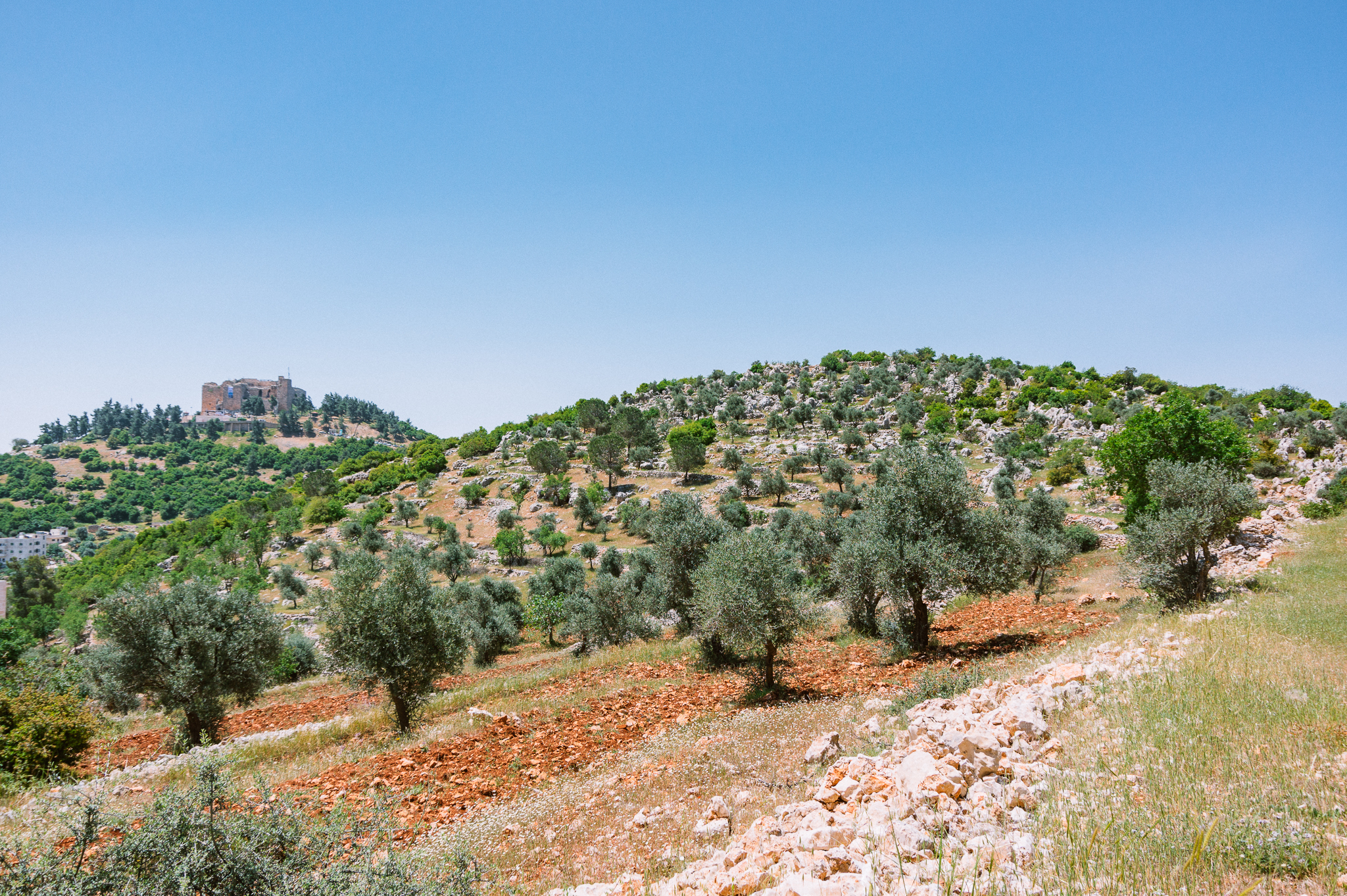 Ajloun_0021