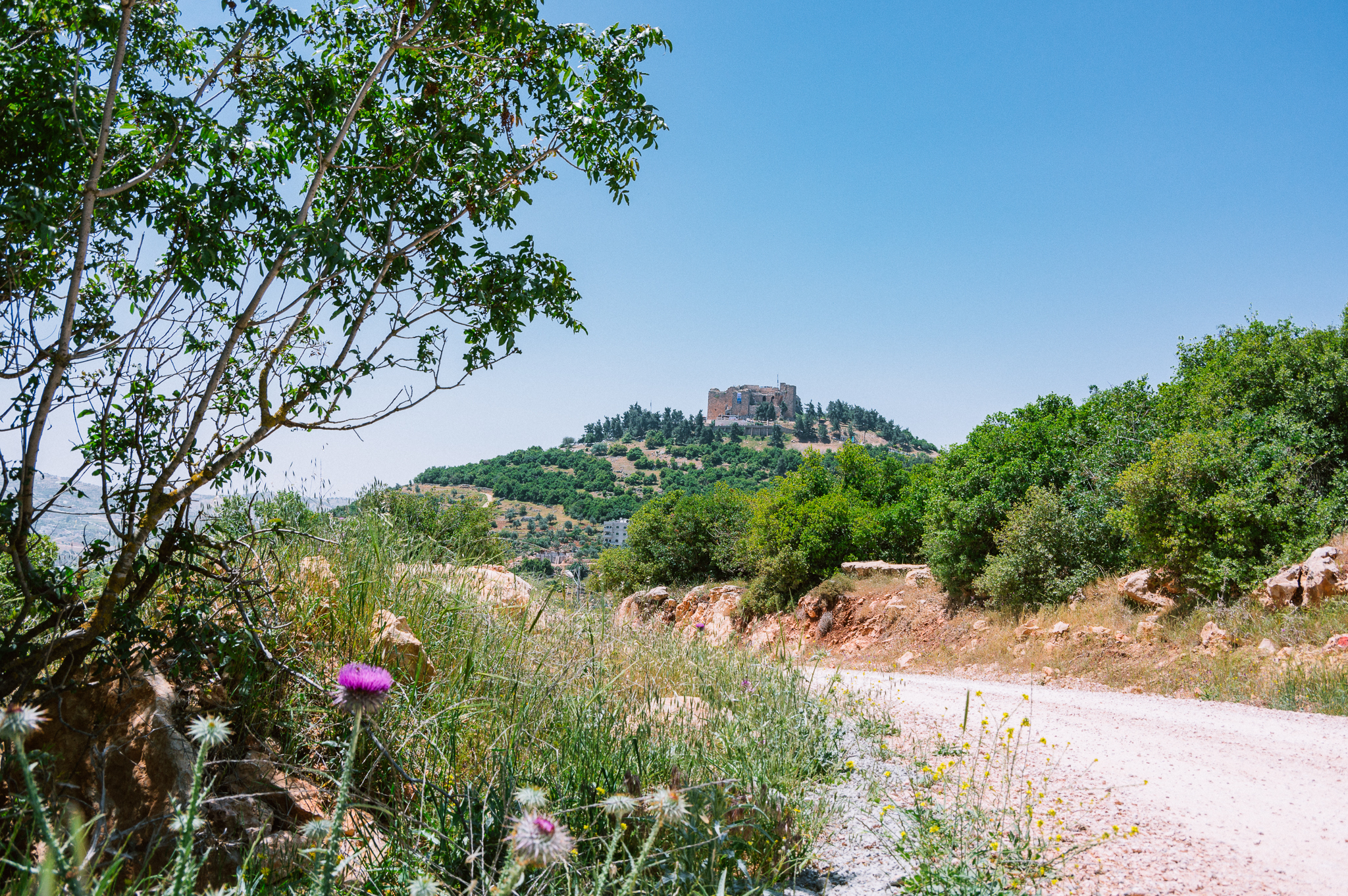 #13 Ajloun Castle