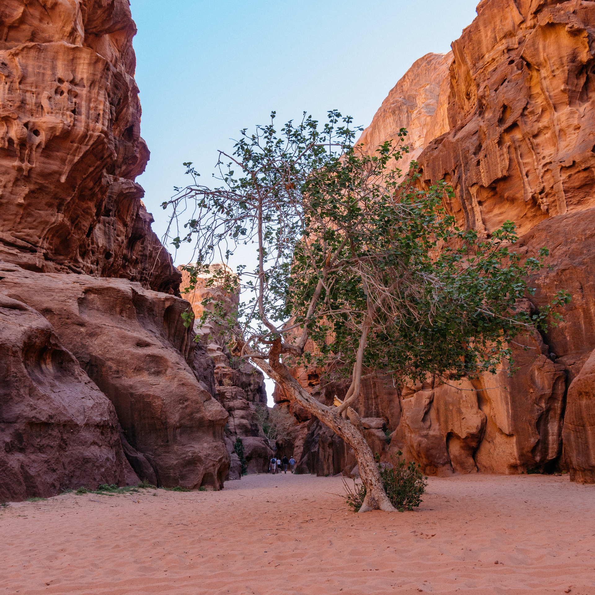 Wadi_Rum(blog)_0006