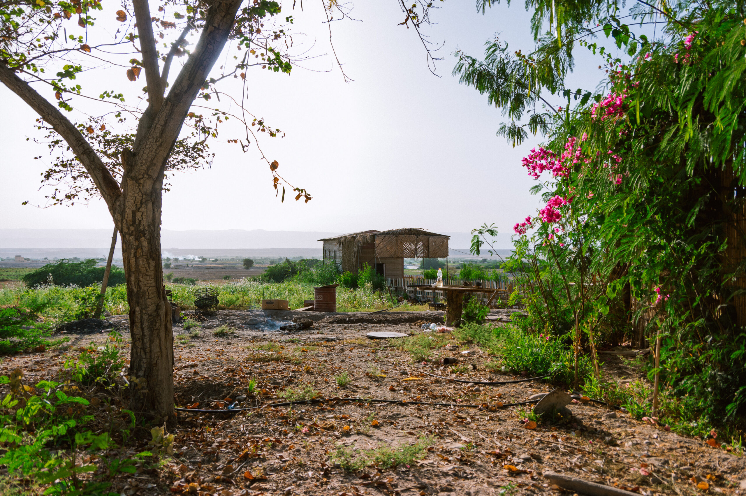 #17 Reiseempfehlung Numeira