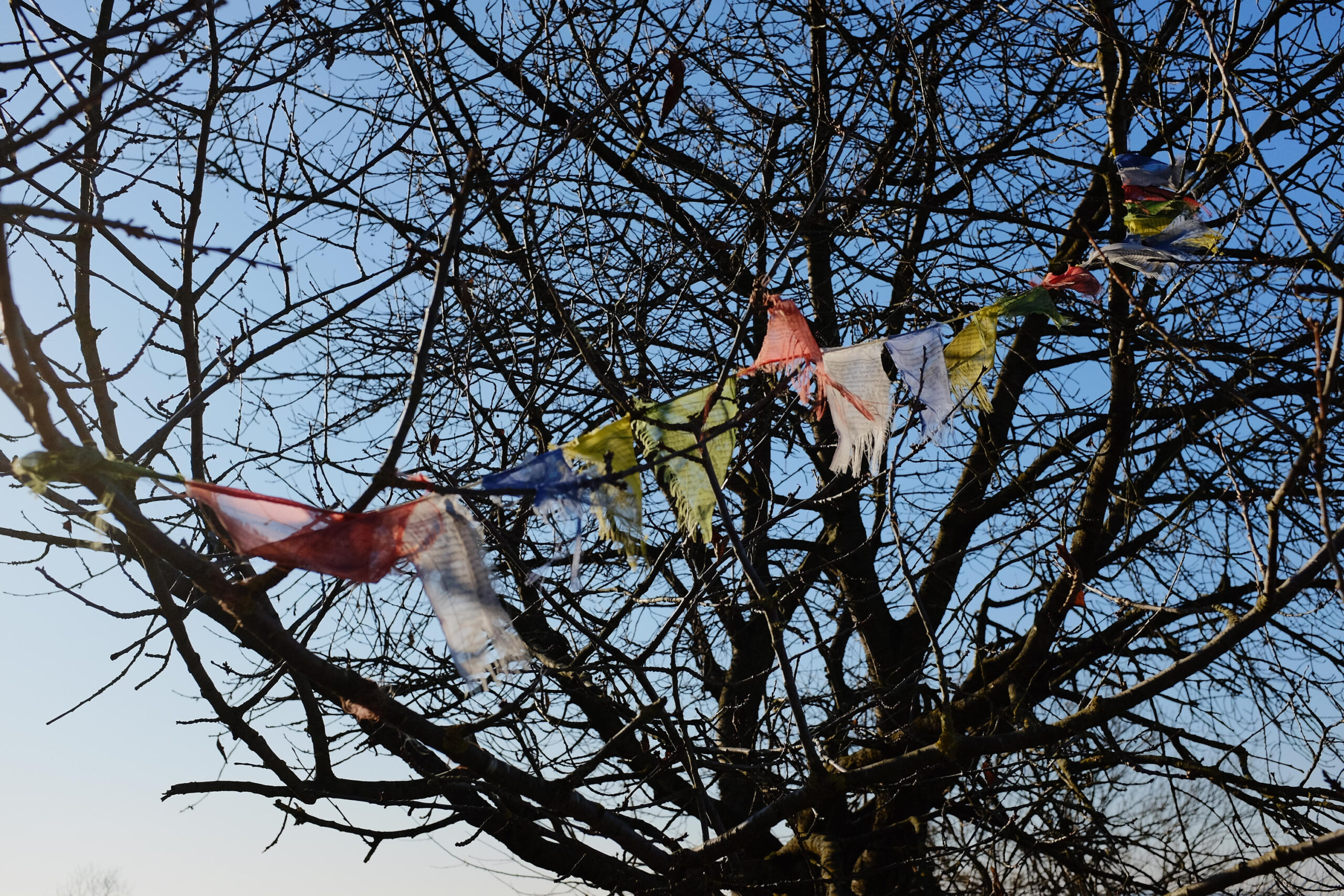 Januar in Göttingen