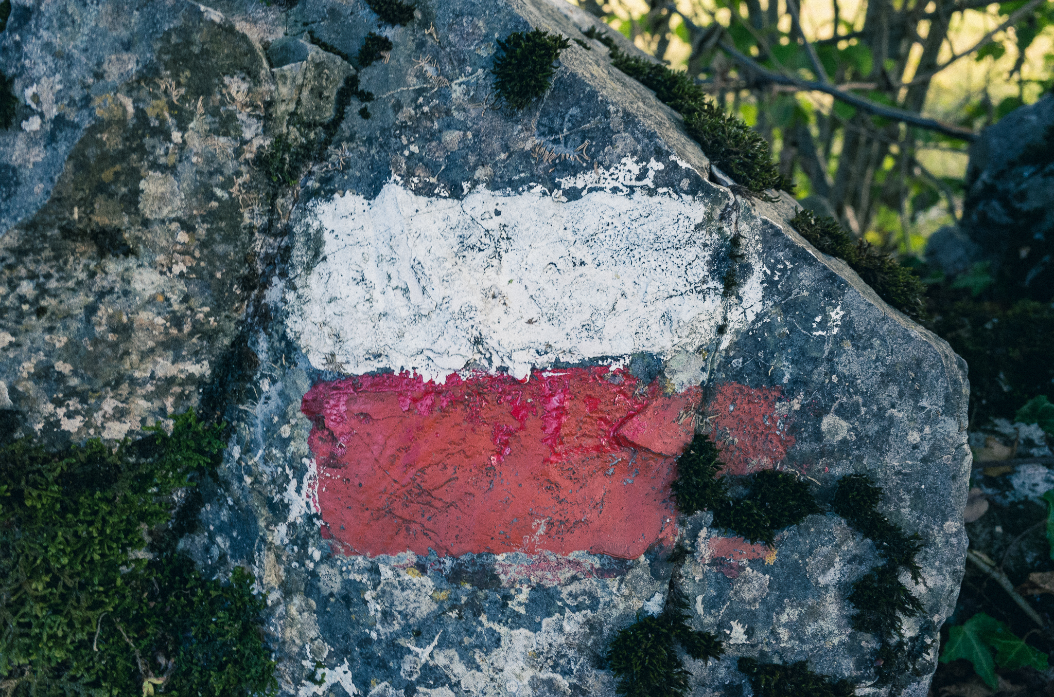 GR11 – Wer? Wie? Was? (Teil I)